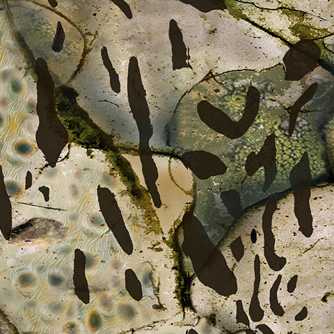 Prym1 Stream Gun Skin Vinyl Wraps