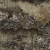 AR 15 Mag Realtree Excape Camo Gun Skin Vinyl Wrap