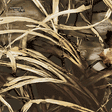 Realtree Nature MAX4